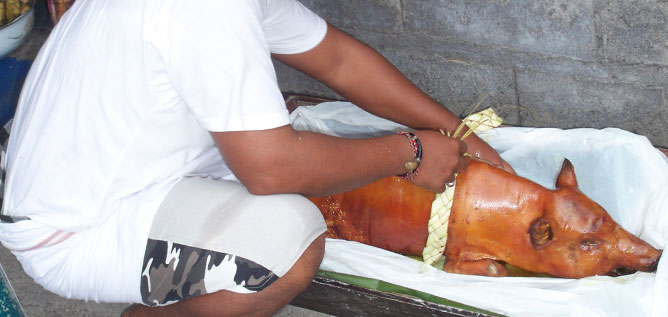 Babi Guling das traditioneles balinesisches Gericht